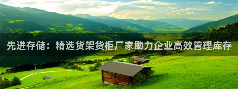 杏运登录：先进存储：精选货架货柜厂家助力