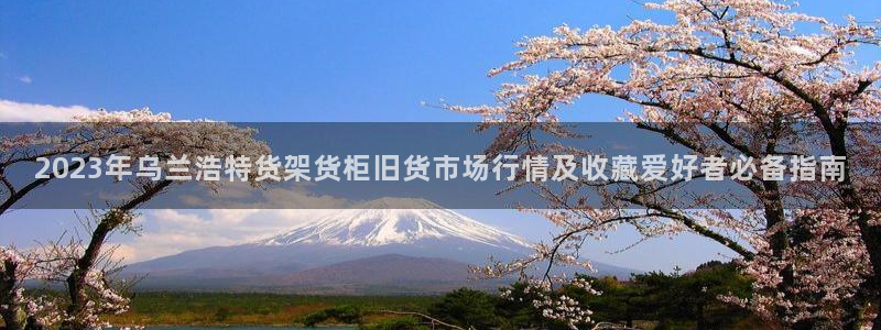 杏运娱乐平台注册地址在哪里：2023年乌