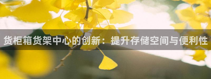 杏运体育app下载安装：货柜箱货架中心的