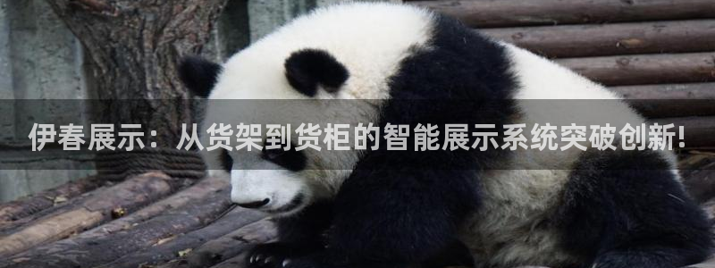 杏运平台注册登录