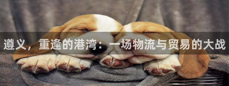 杏运娱乐平台注册地址在哪里