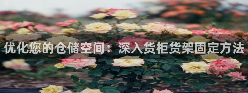 杏运平台登陆：优化您的仓储空间：深入货柜