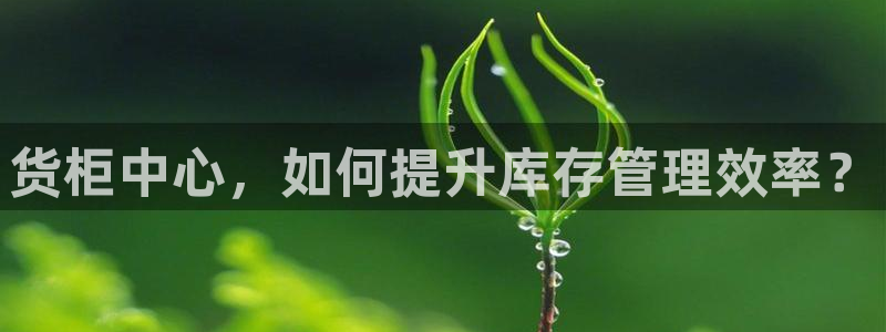 杏运平台官方网站：货柜中心，如何提升库存