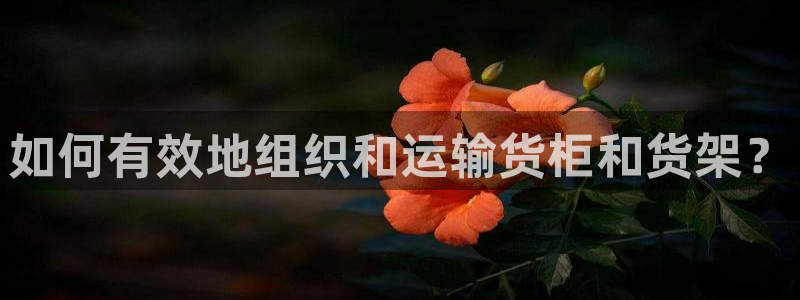 杏运登录：如何有效地组织和运输货柜和货架