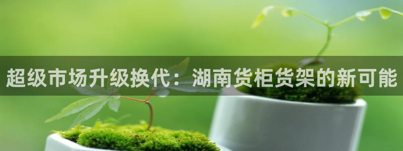 杏运体育：超级市场升级换代：湖南货柜货架